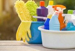 cleaning-caddy-dollar-tree-to-buy-shopping-guides